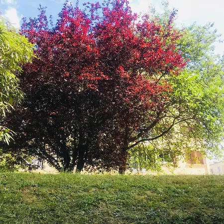 Appartamento Private Studio 20 Minutes From Paris